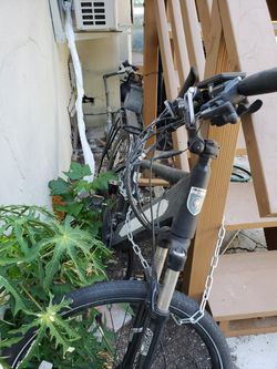 Bicycle