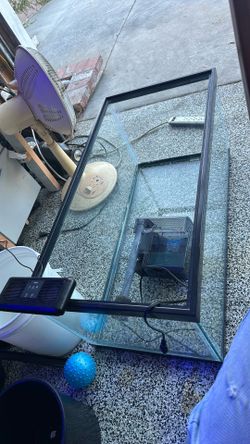Aquarium tank  with fluval filter
