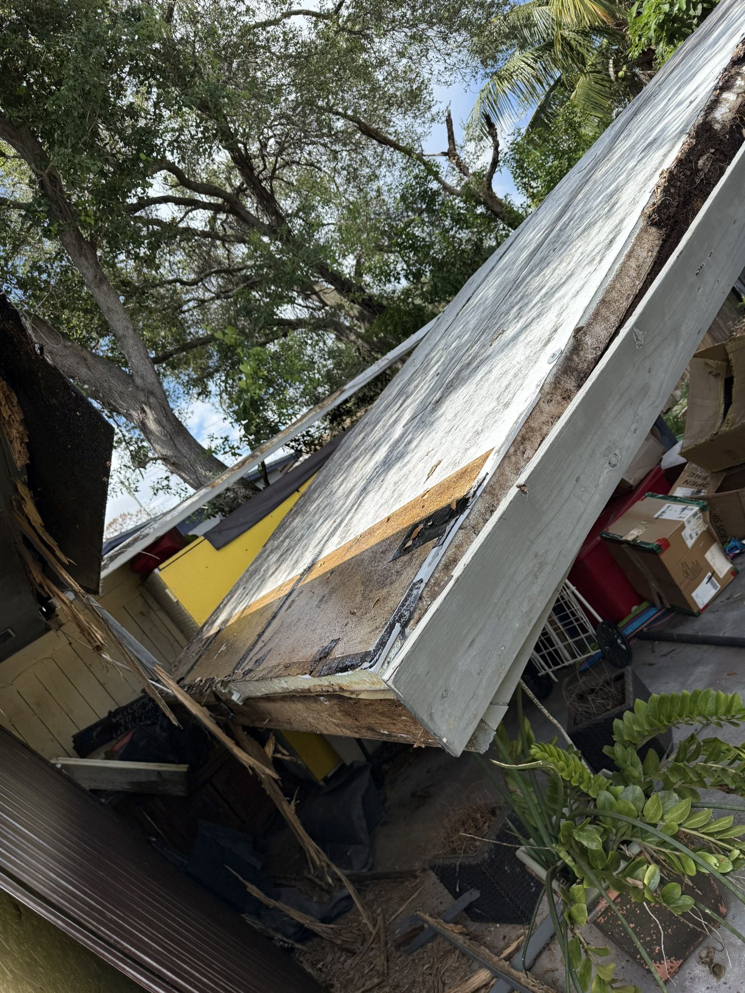 Junk/trash Remov For Sale