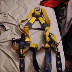 Delta Sala Harness
