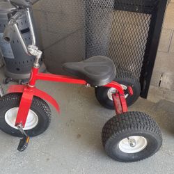 Special Needs Tricycle 