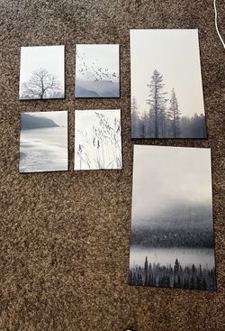 Canvas Art Picture