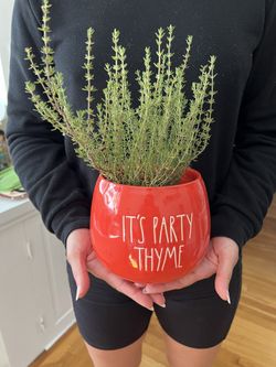 Rae Dunn Thyme Planter