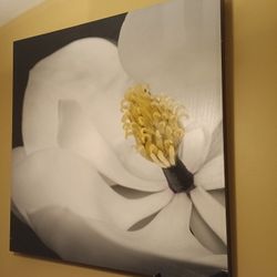 Flower Canvas Painting 