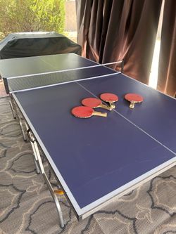 Ping Pong Table
