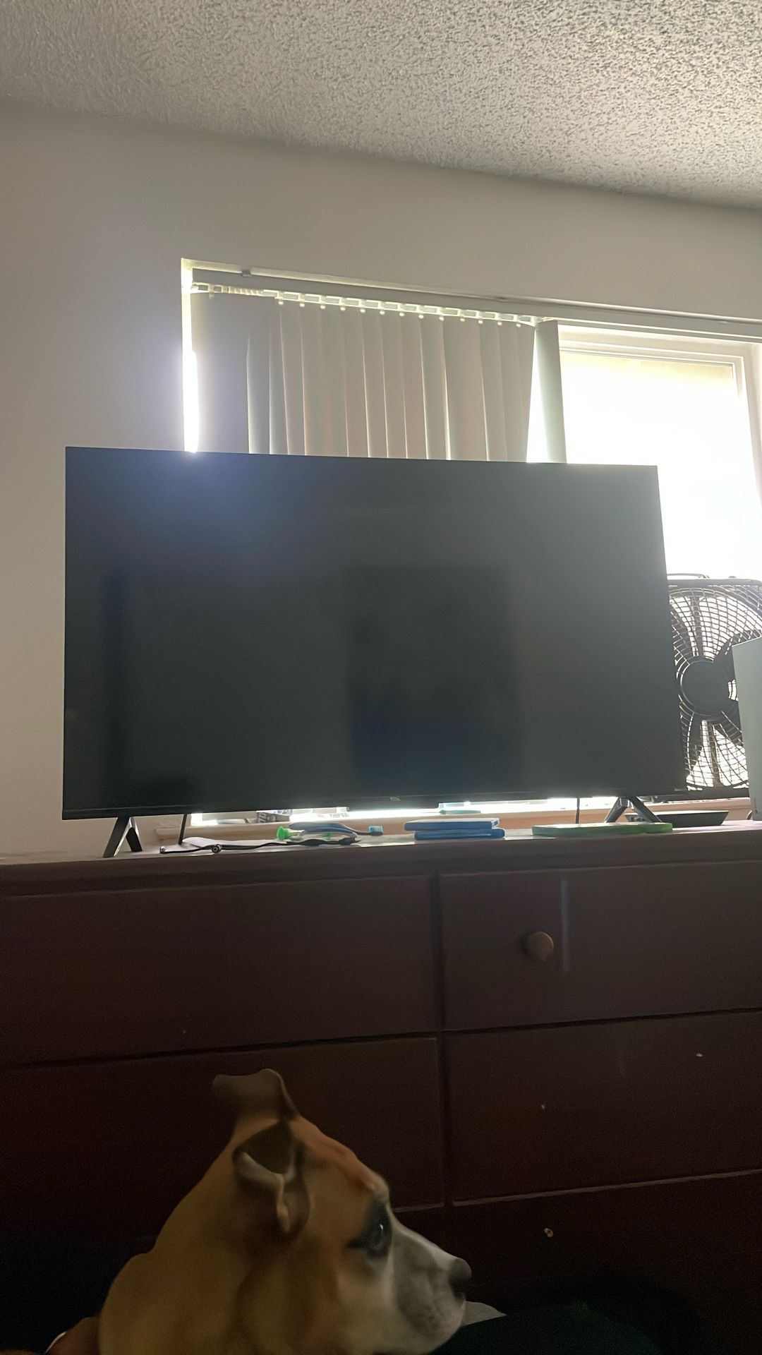 Roku Smart Tv