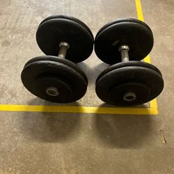 45 Pounds Dumbells