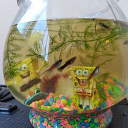 Fish Bowl 