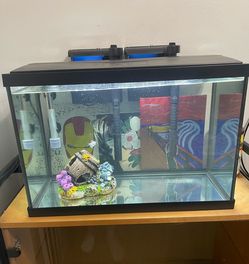 Top Fin 20gl Tank with Fish