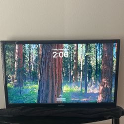 Insignia 50”inch LCD TV 