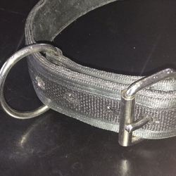 Large Heavy Duty Dog Collar Almost New