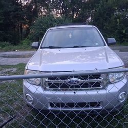 2010 Ford Escape