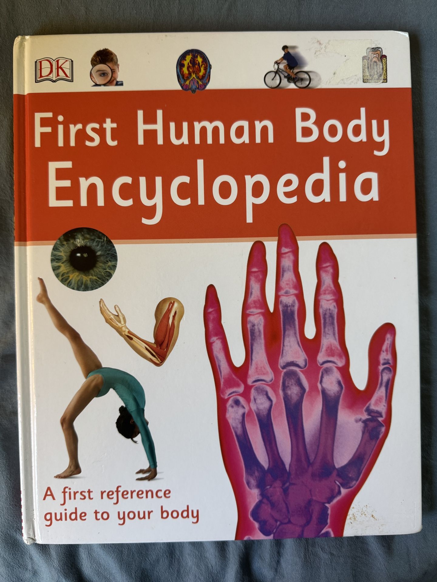 First Human Body Encyclopedia By DK