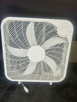 Fan