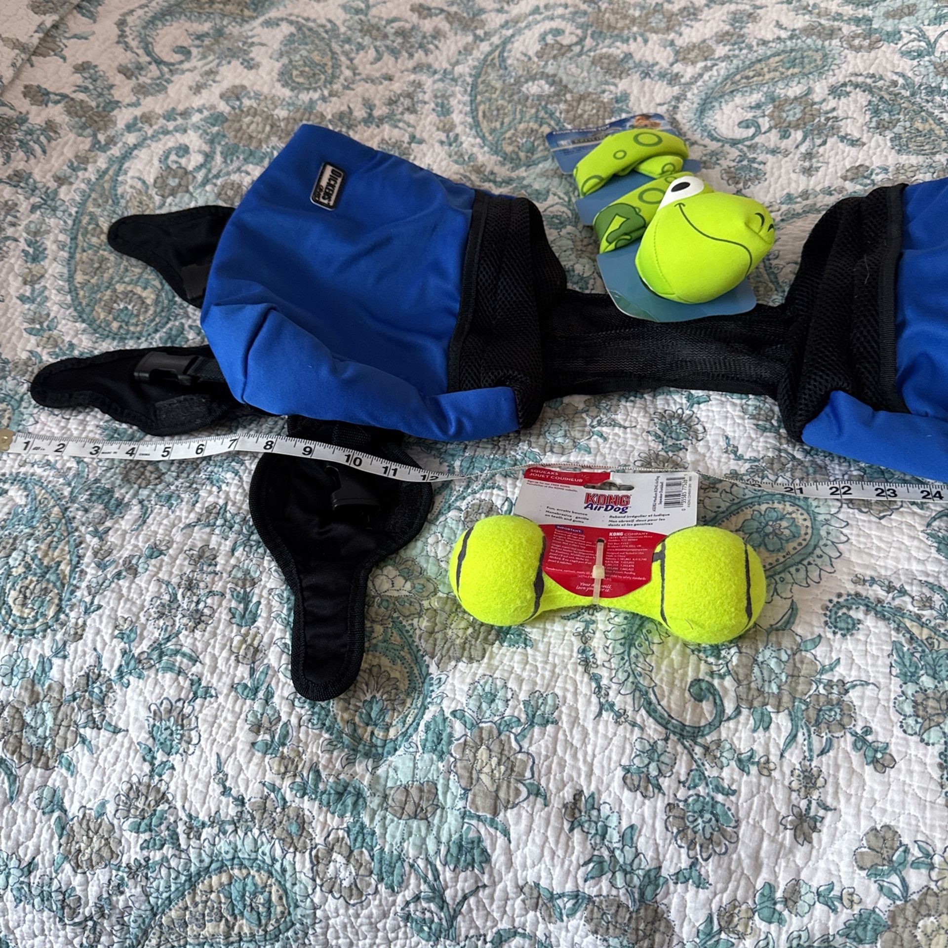 Dickens, large dog, hiking, pack, and toys