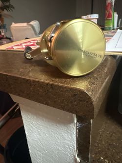 Shimano Calcutta TE 200GT, high-end round baitcasting reel