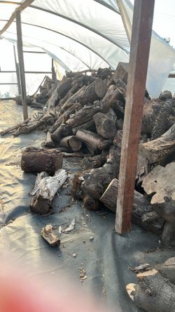 Firewood 