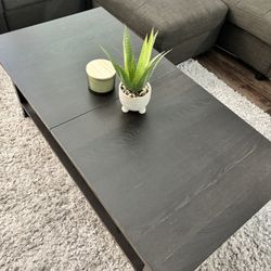 Dark Brown Coffee Table