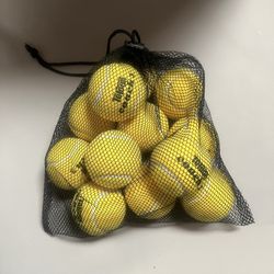 12 Tennis Balls With Carrying Bag