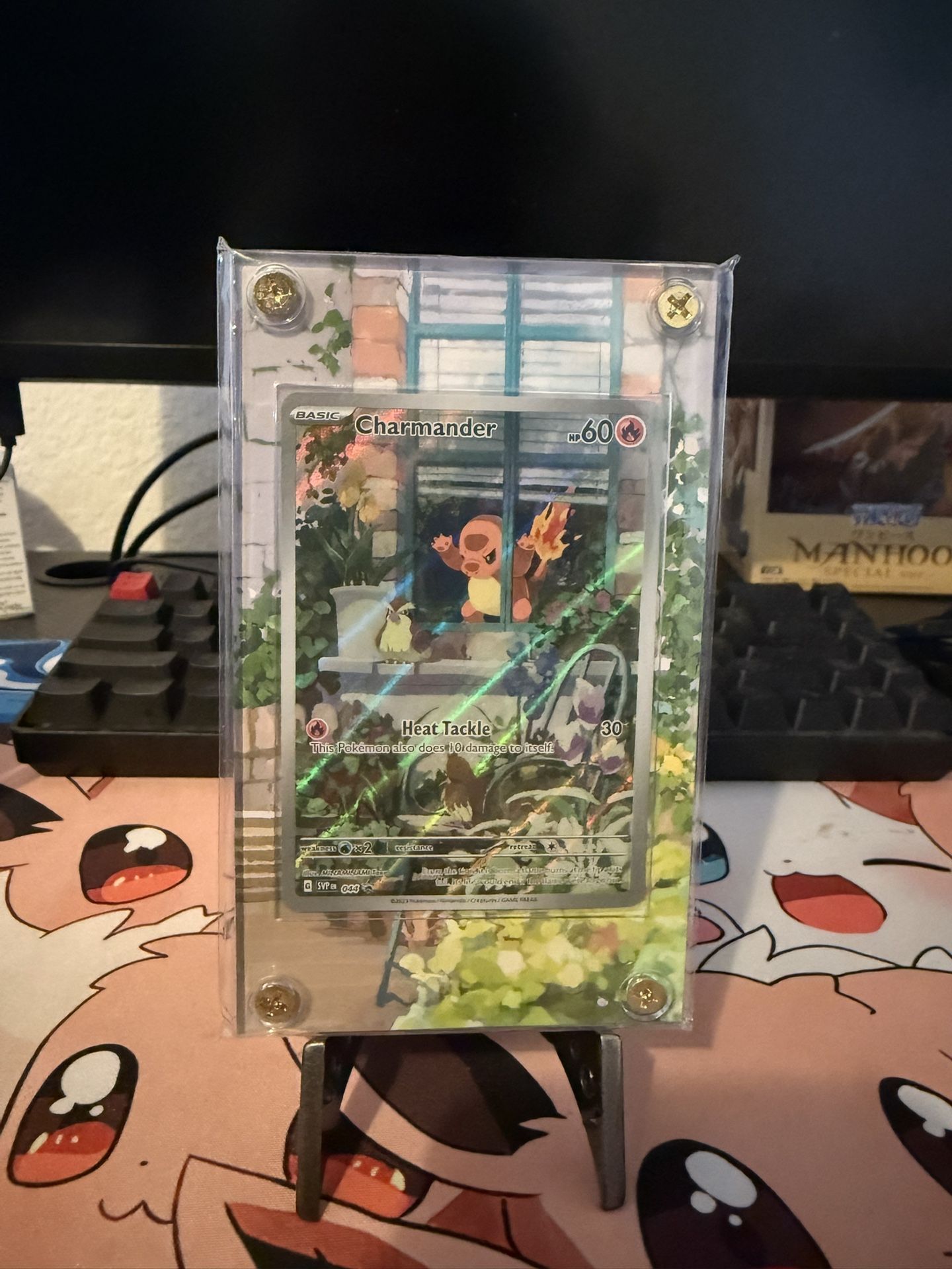Pokemon 