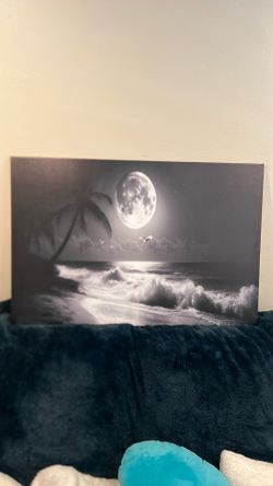Moon picture on canvas