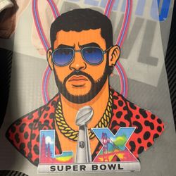 Super Bowl Shirts