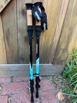 TrailBuddy Trekking Poles Pair
