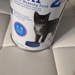 Kitten Formula