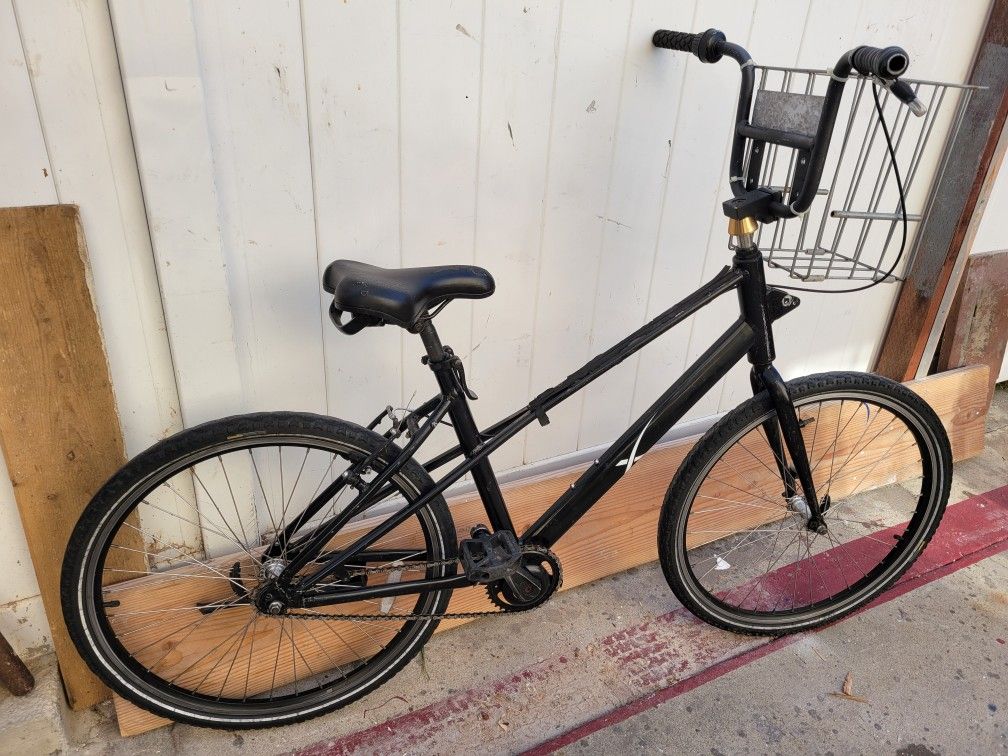 SpaceX Beach Cruiser/Basket