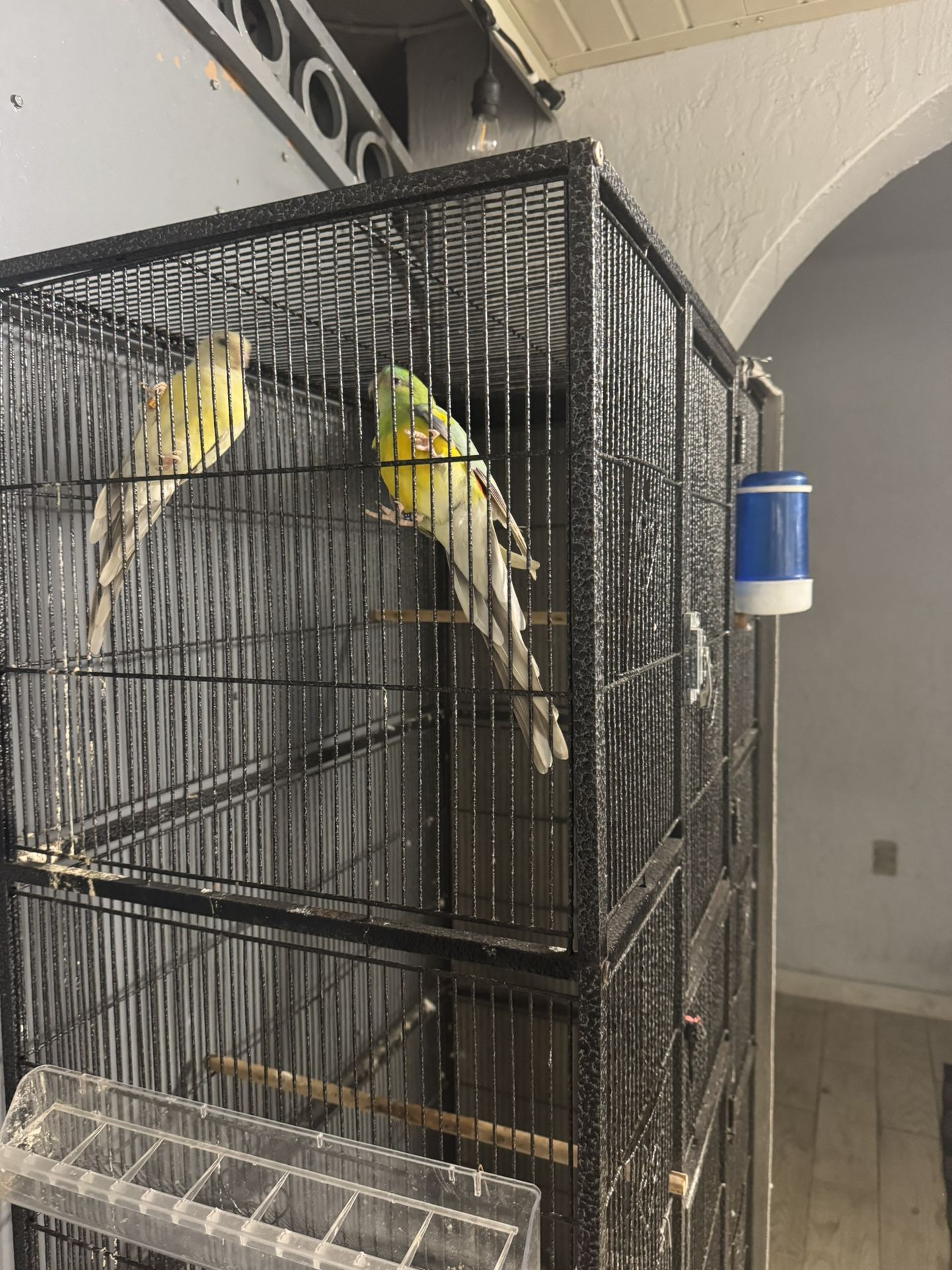 Se Vende Jaula De Pajaros