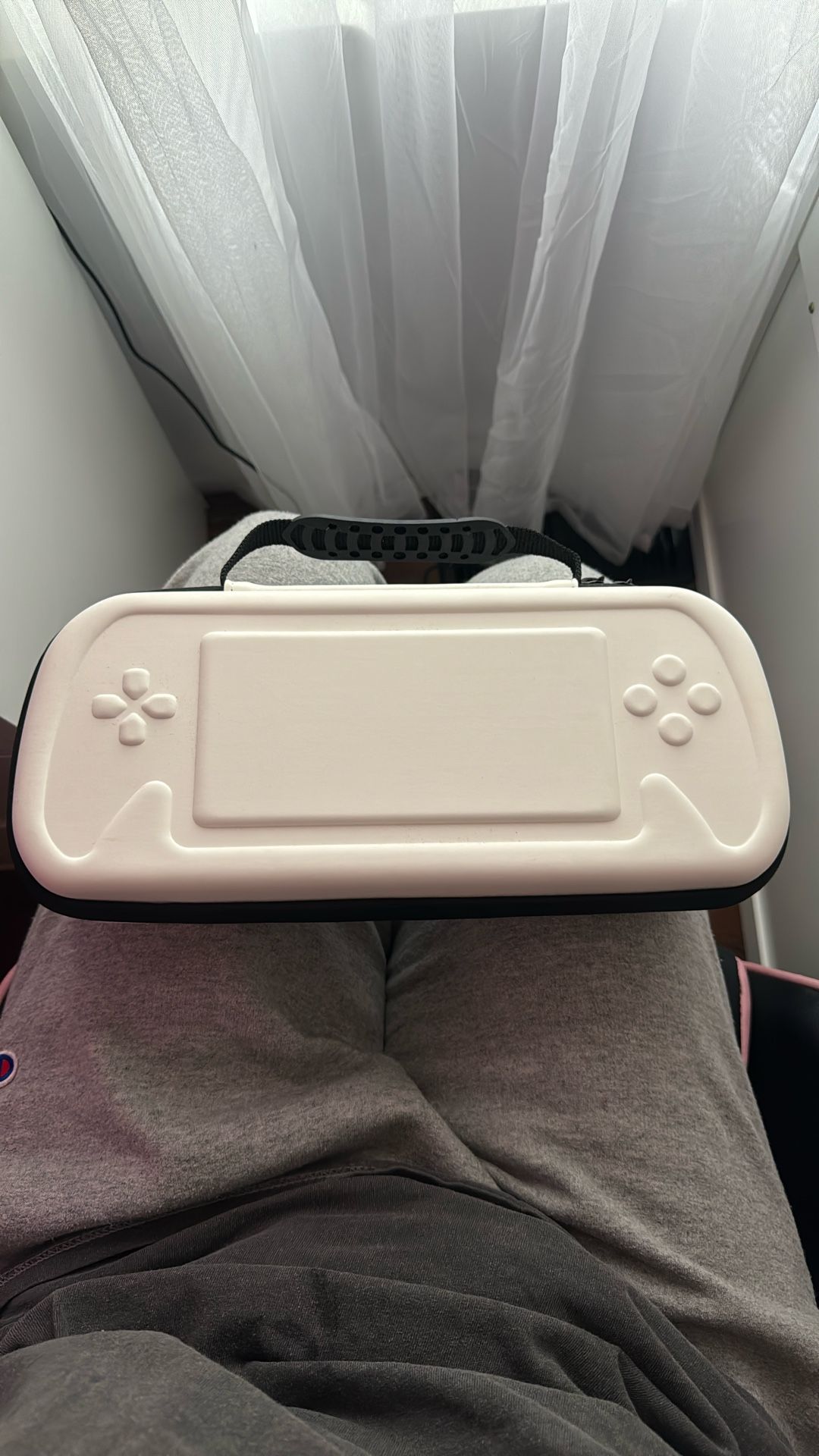 Ps5 Portal Case