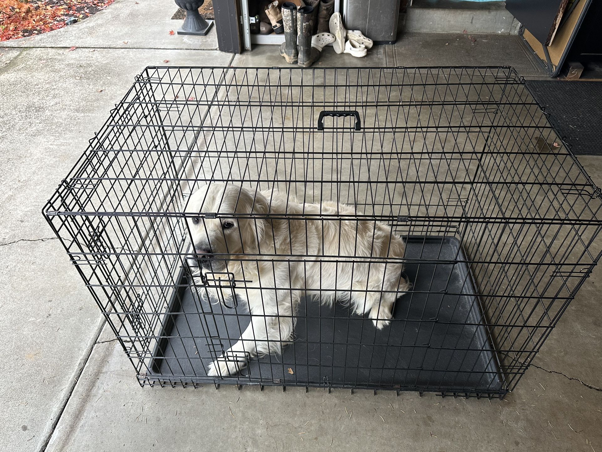 Large Dog Crate