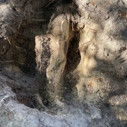 Limestone Small To Big