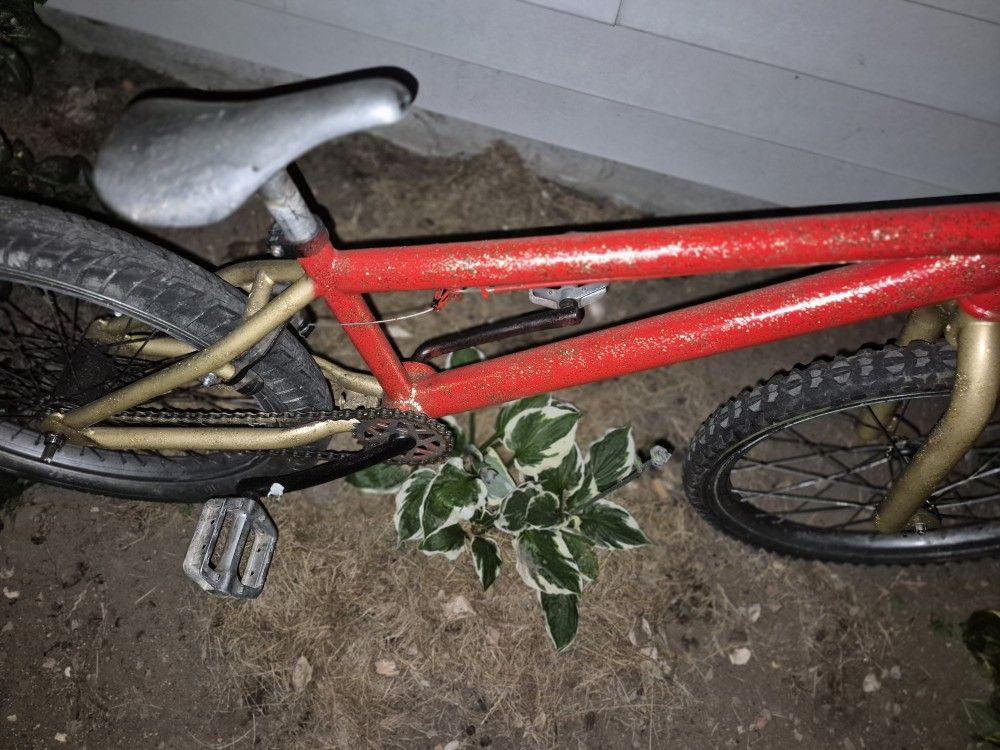 BMX Bike Custom Paint