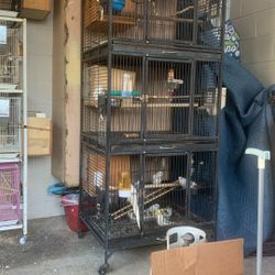 Bird Cage 