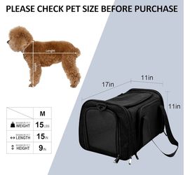 Carrier Cats Dogs Puppies