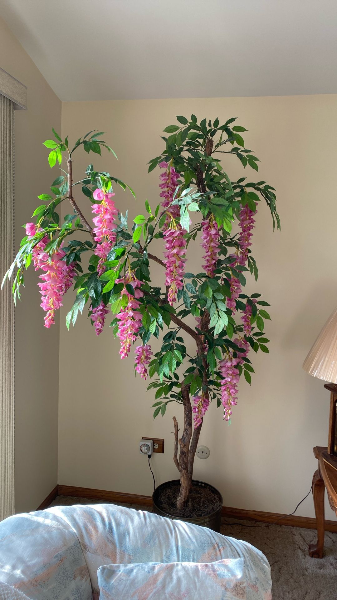 Beautiful Wisteria Tree