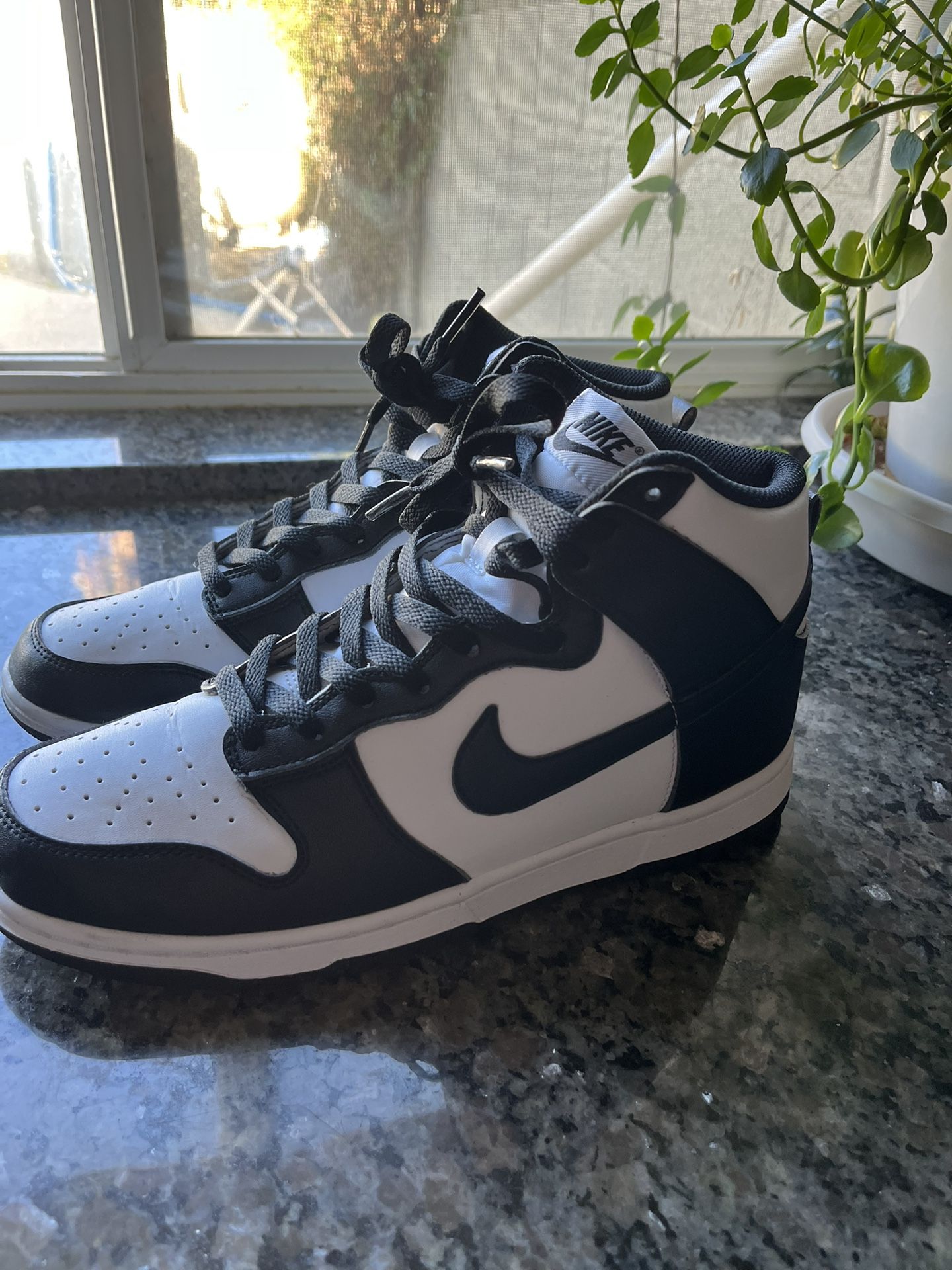 Panda Dunks Women’s 9.5