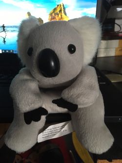 Beanies type toy