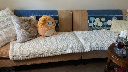FREE pair of couches MCM