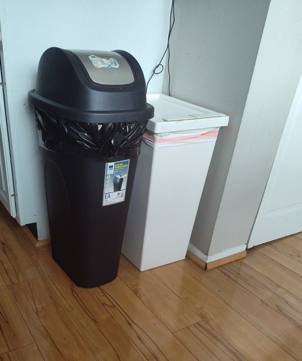 Black Bin and Recycling Trash Bin