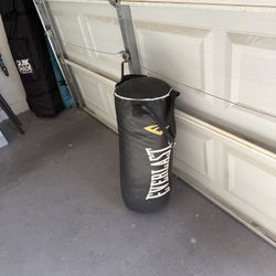 Everlast 40 Pound Bag