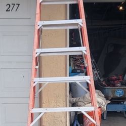 Werner 10' Ladder 