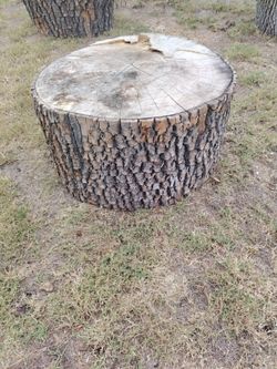 7 beautiful pine logs