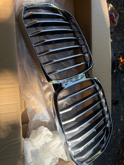 BMW x5 grill