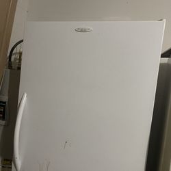 Standing Freezer $200