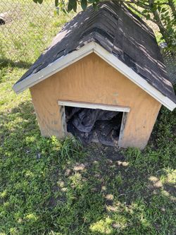 dog house