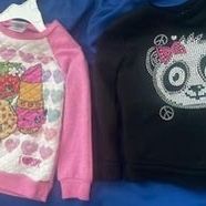 toddler girl 5T sweatshirts