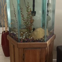 Fish Tank 