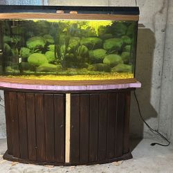 Aquarium